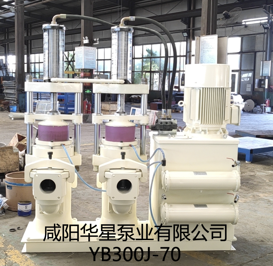 YB300J-70陶瓷柱塞泵產品圖片